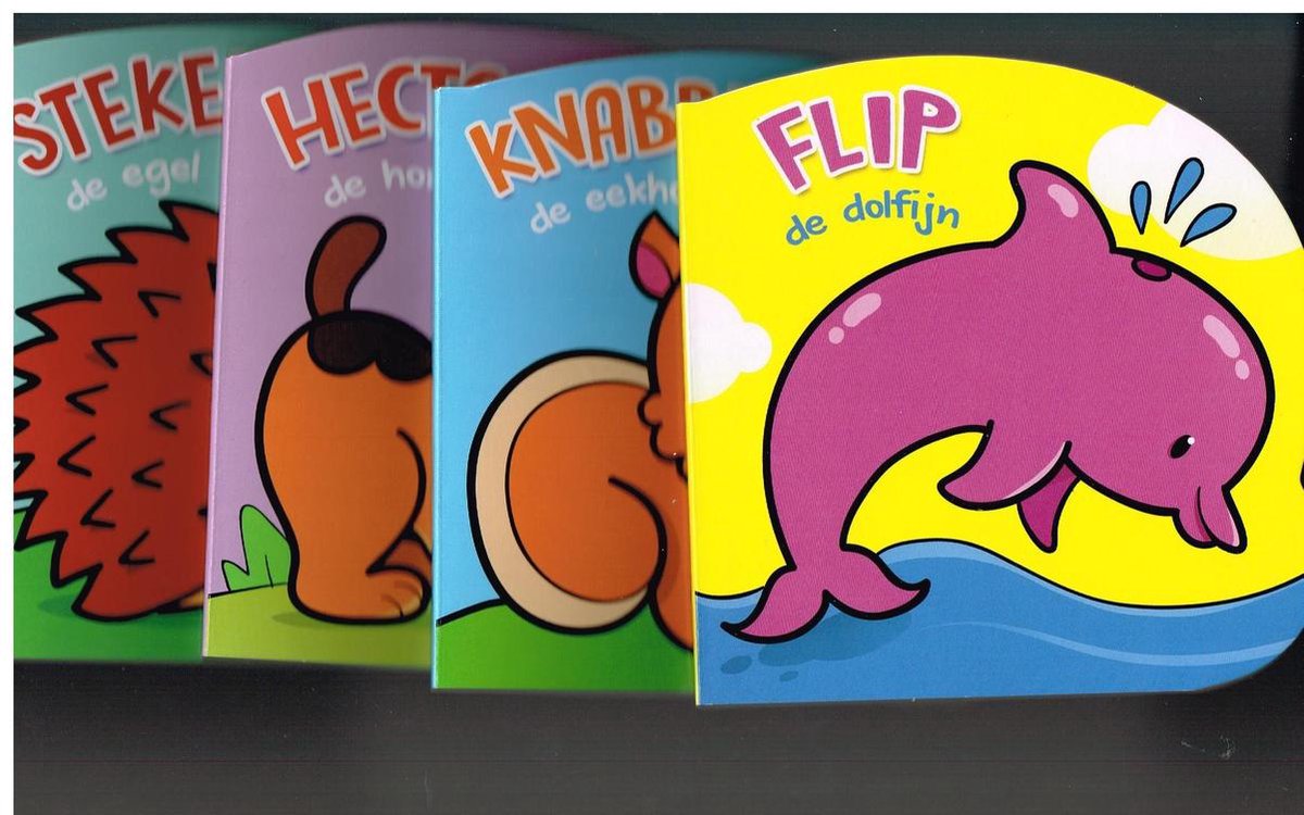 Set van 4 kartonboekjes