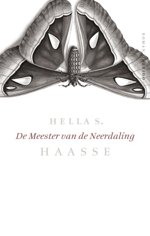 De meester van de neerdaling / Verzameld werk Hella S. Haasse