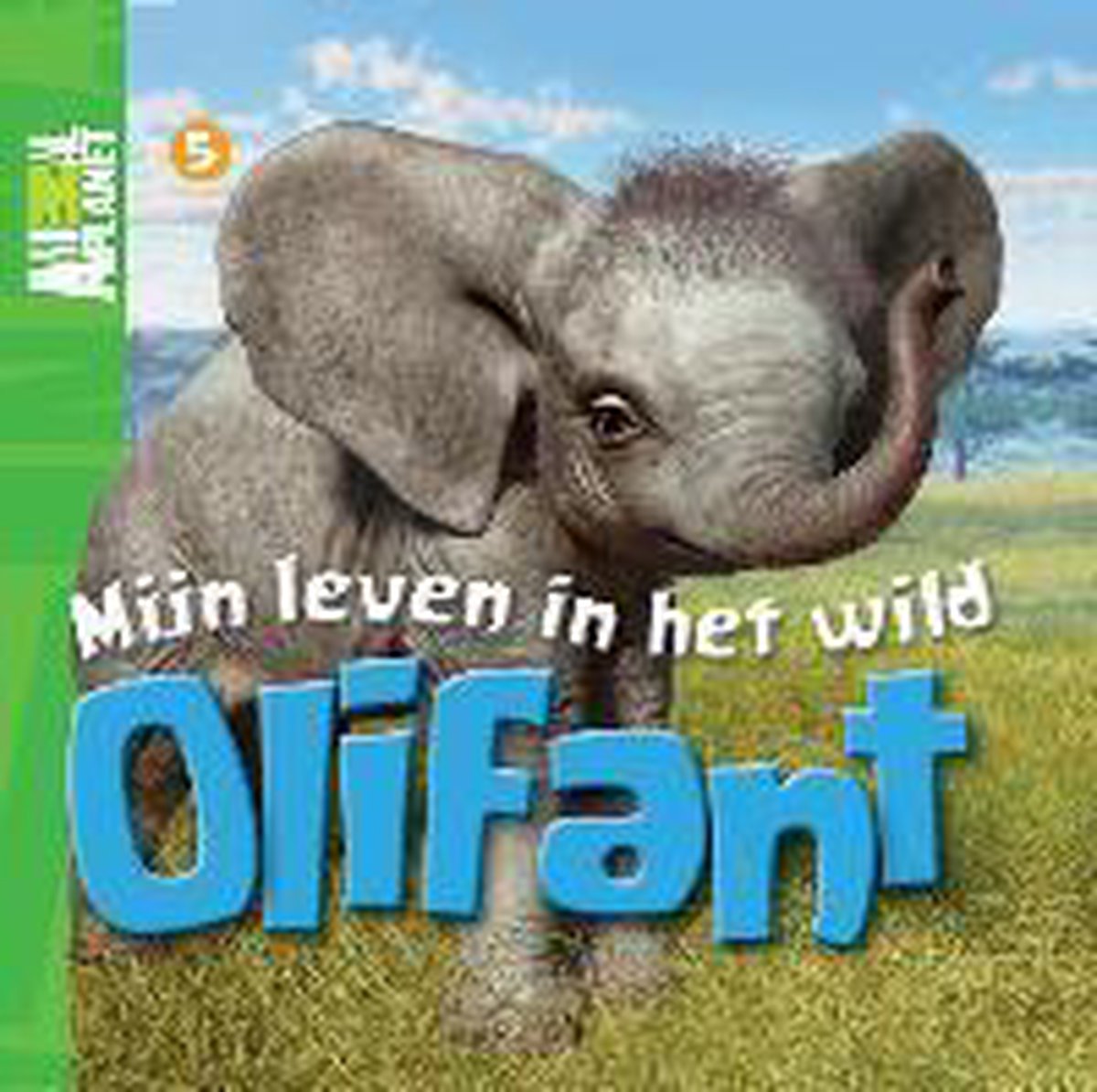 Olifant