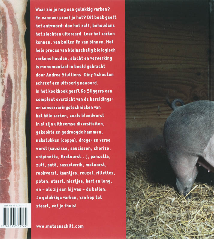 Sus Domesticus achterkant