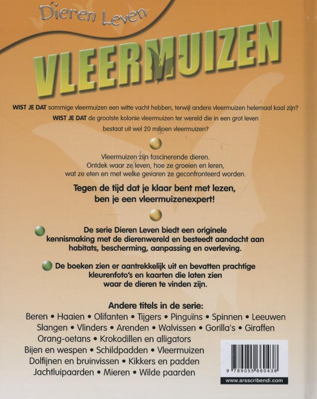 Dierenleven  -   Vleermuizen achterkant