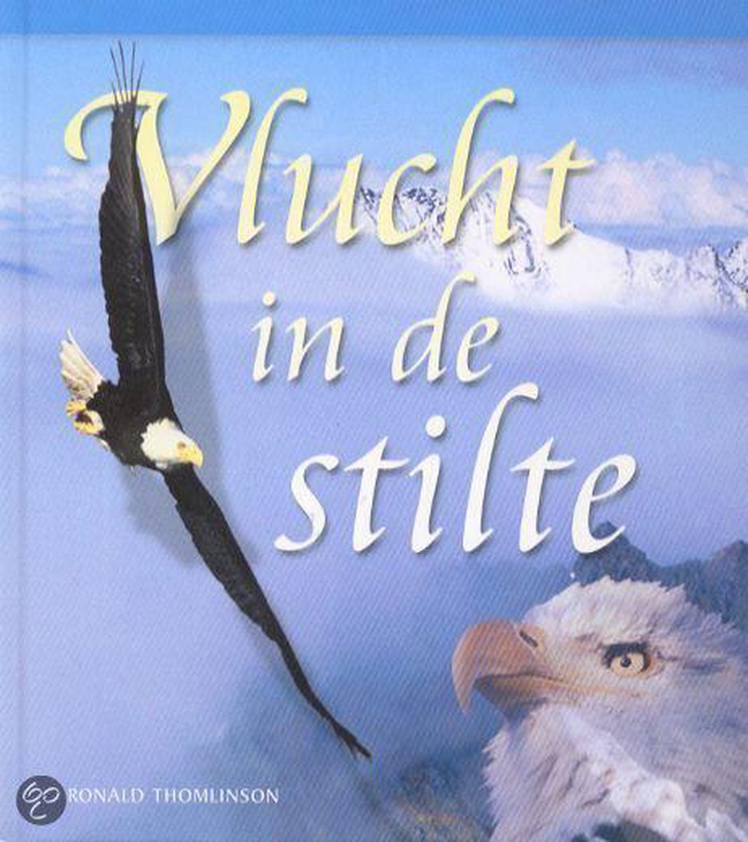 Vlucht In De Stilte