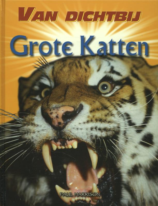 Grote katten / Van dichtbij