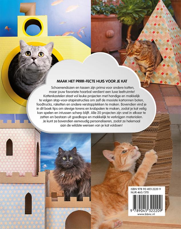 Kattenkastelen achterkant