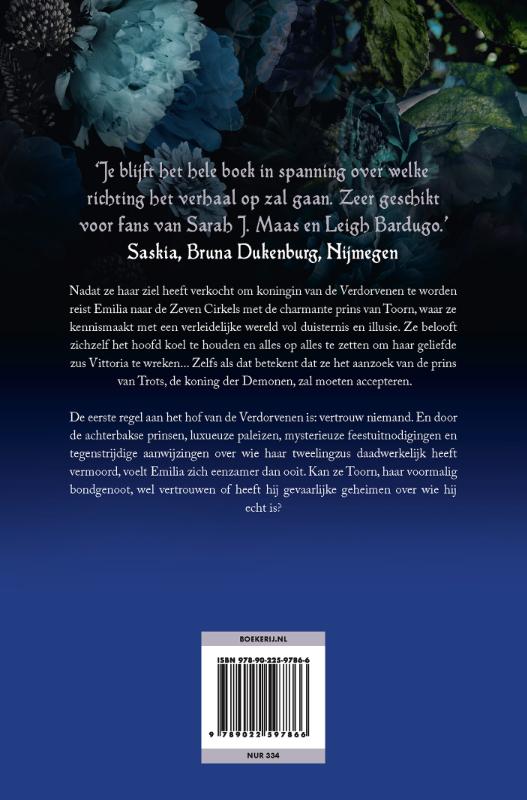 De prins van Trots / Koninkrijk der zonden / 2 achterkant