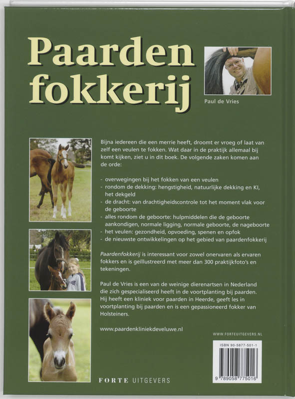 Paardenfokkerij achterkant
