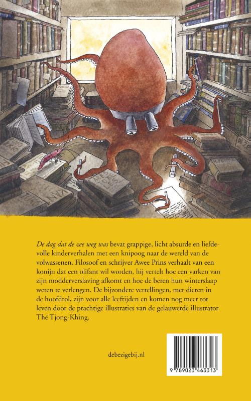 De dag dat de zee weg was achterkant