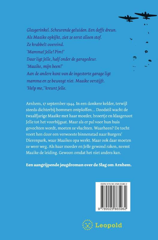 Nergens meer veilig achterkant