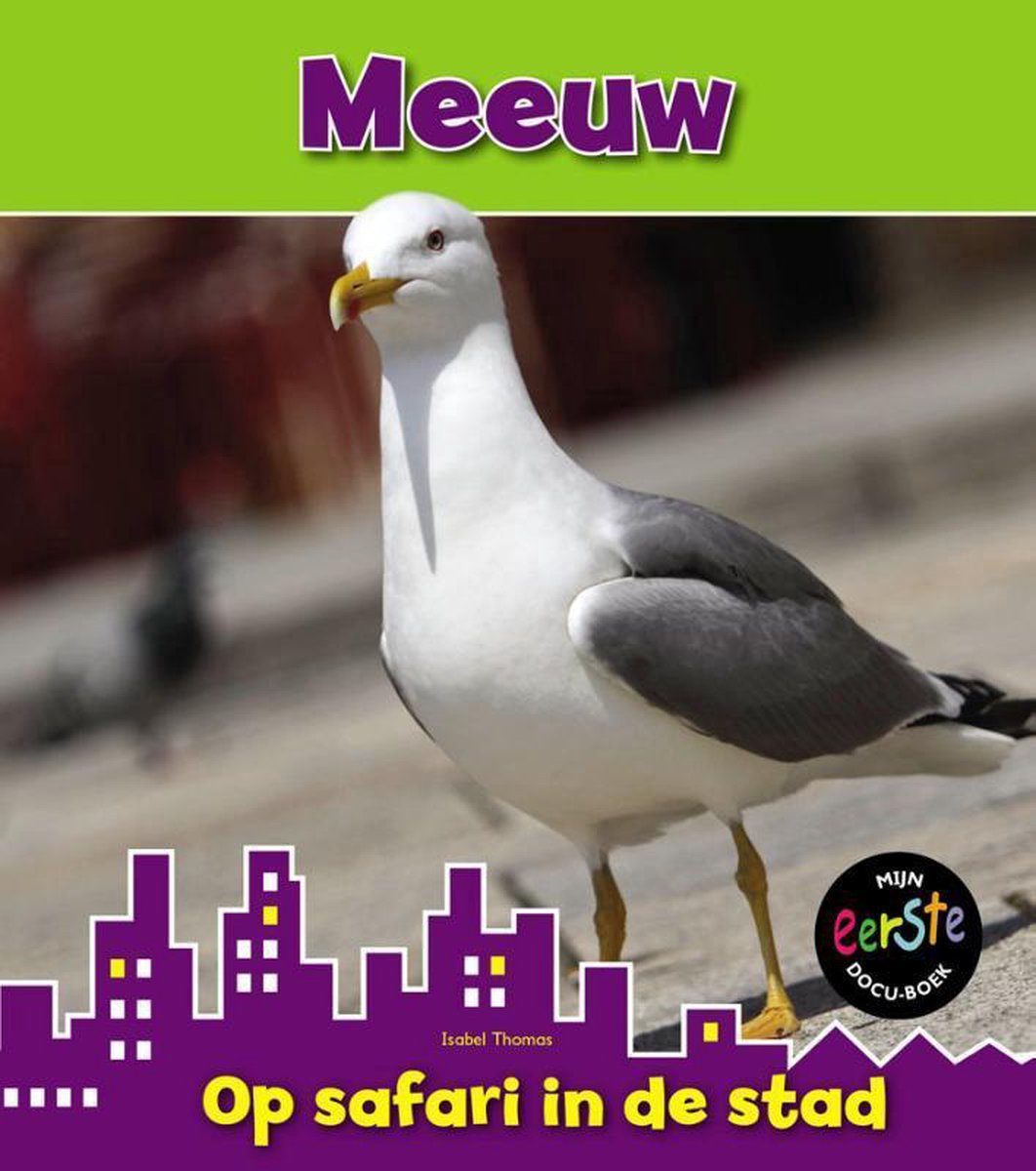 Meeuw / Op safari in de stad