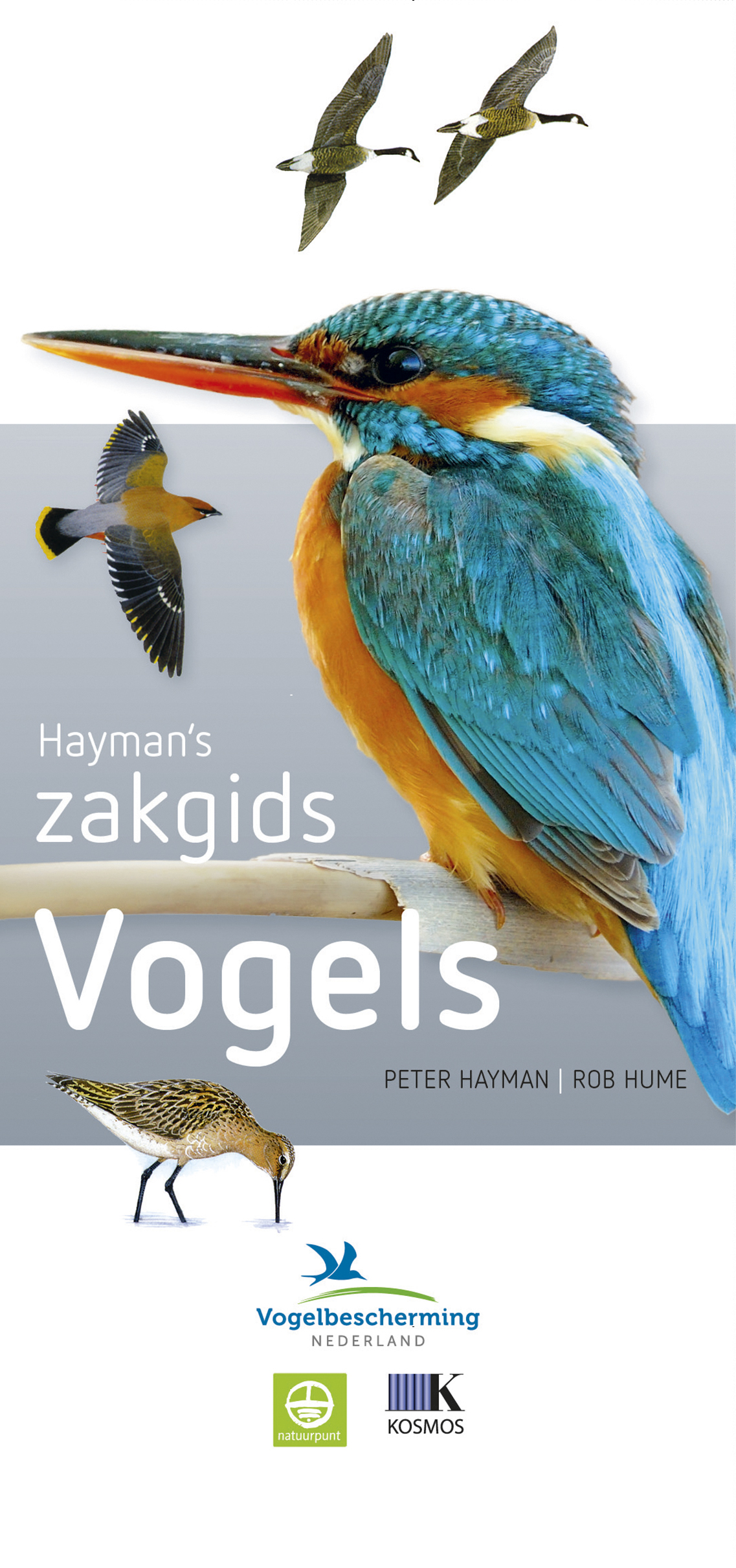 Vogels / Hayman's Zakgids