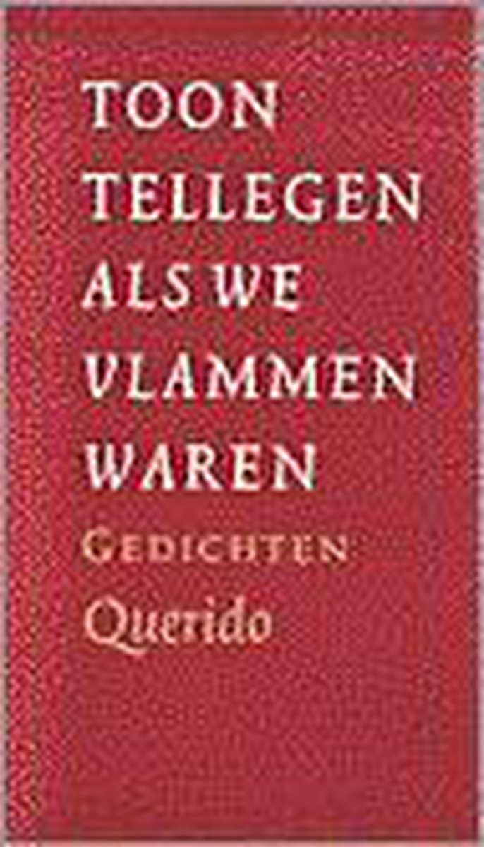 Als We Vlammen Waren