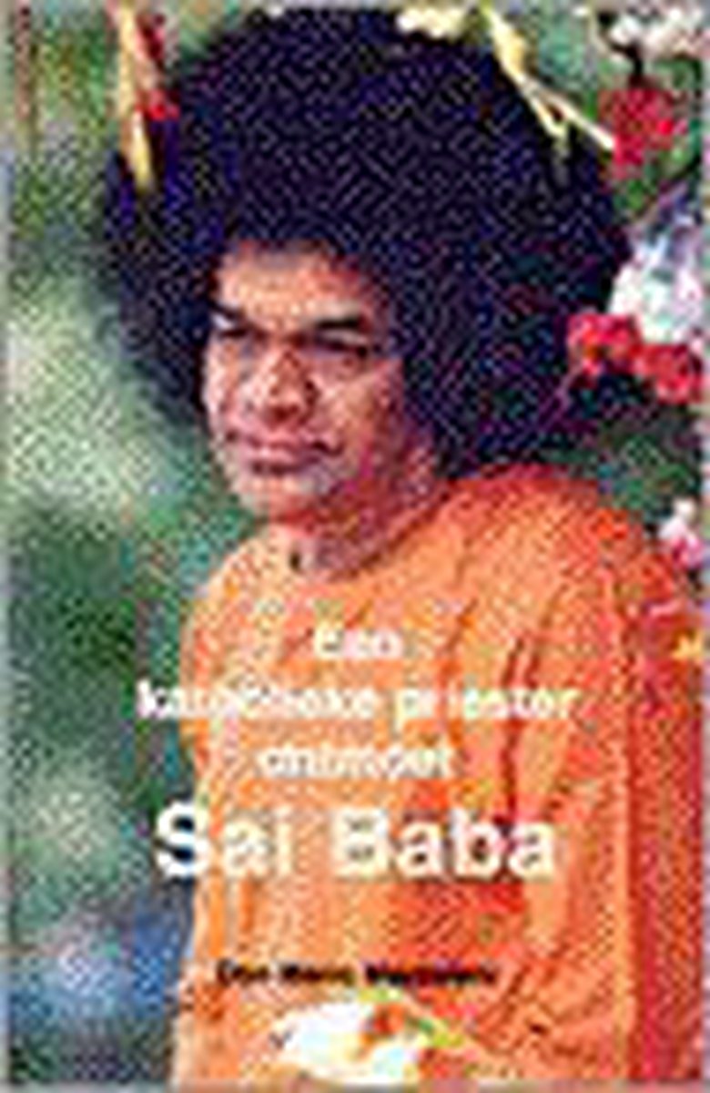 Katholieke priester ontmoet sai baba