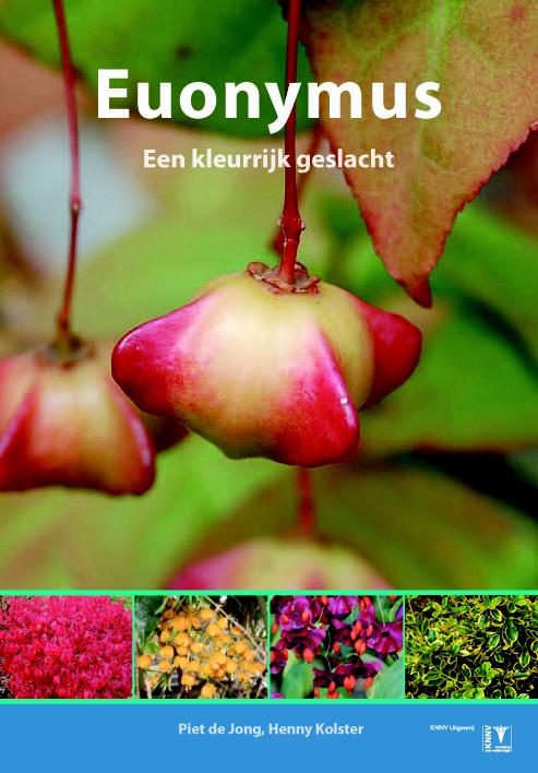 Euonymus