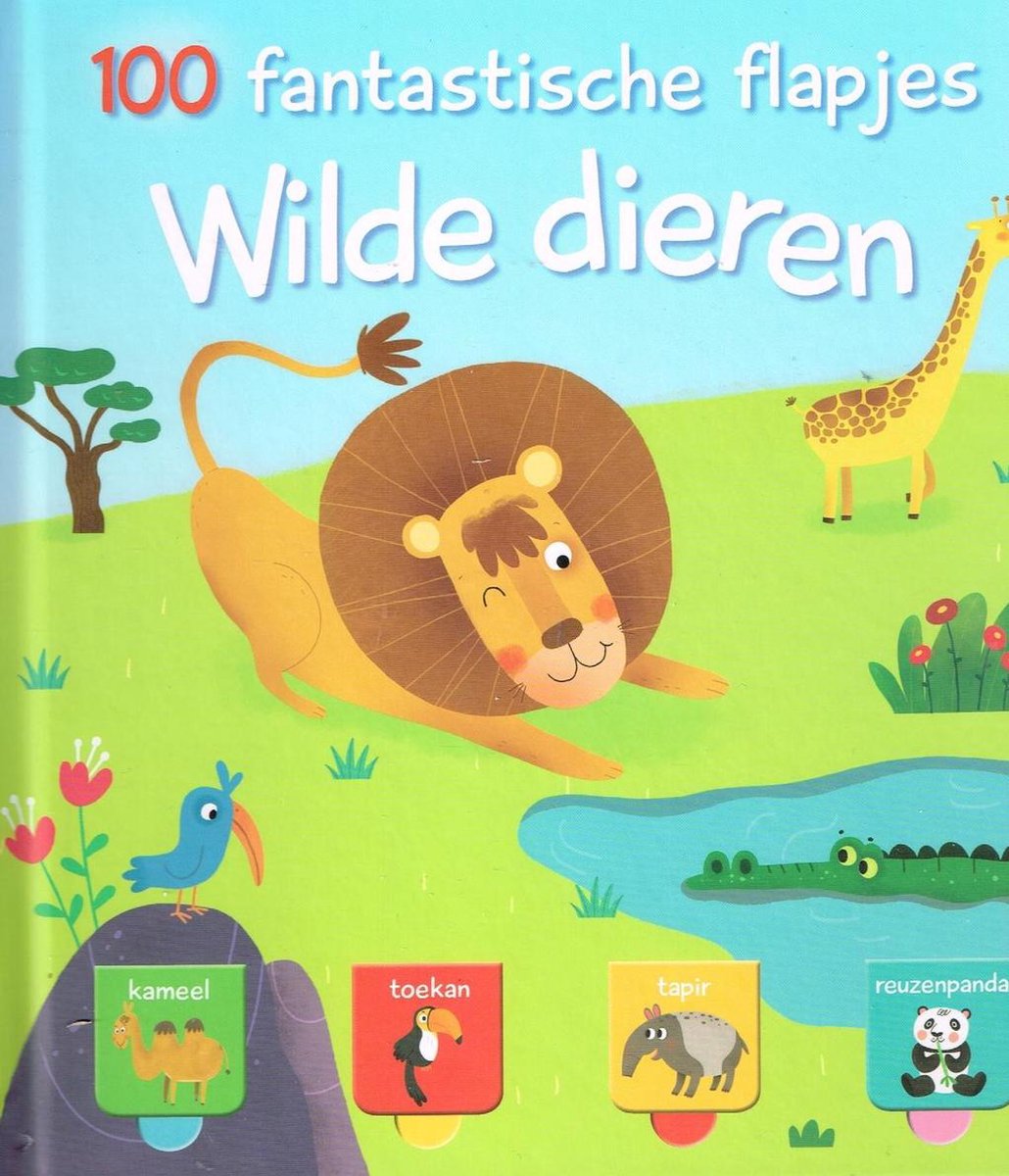 100 fantastische flapjes