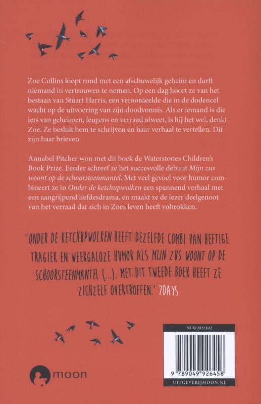 Onder de ketchupwolken achterkant