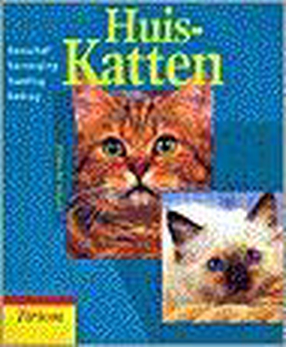 Huiskatten