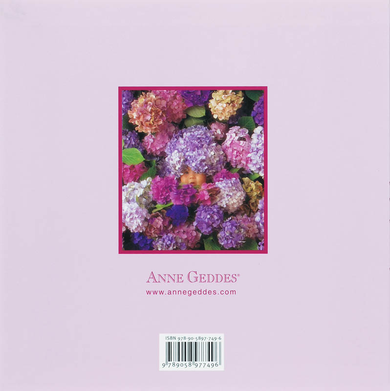 Mijn zwangerschapsdagboek achterkant