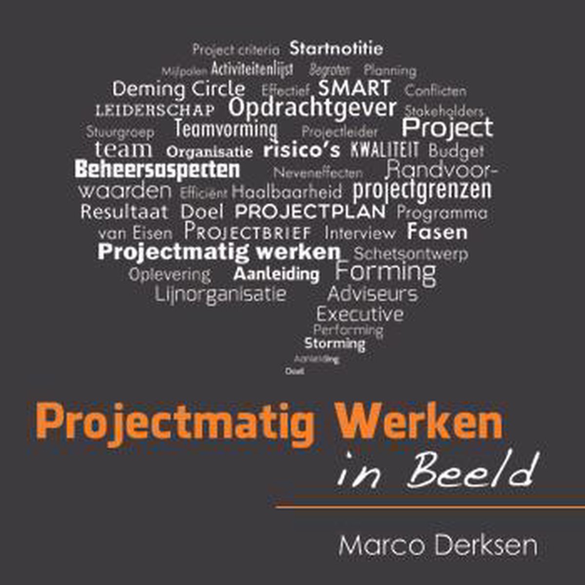 Projectmatig Werken in Beeld