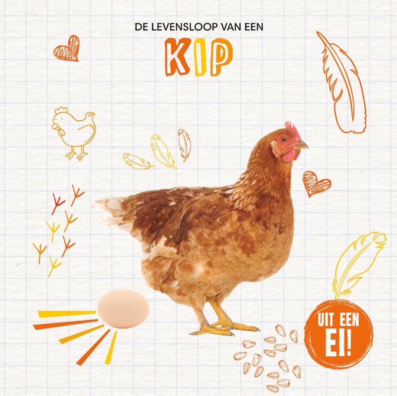 De levensloop van een kip / Uit een ei!