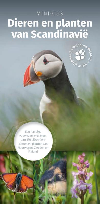 Minigids dieren en planten van Scandinavie