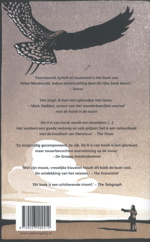 De H is van havik achterkant