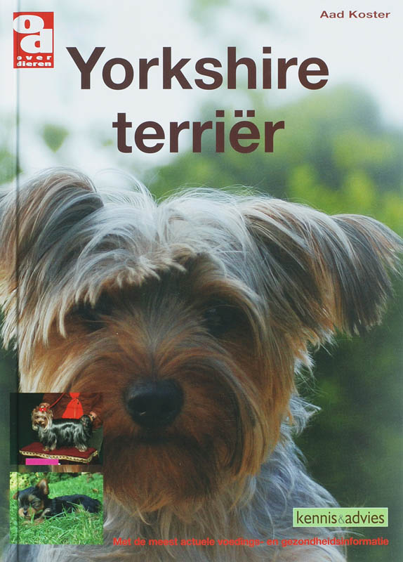 Yorkshire terrier / Over Dieren