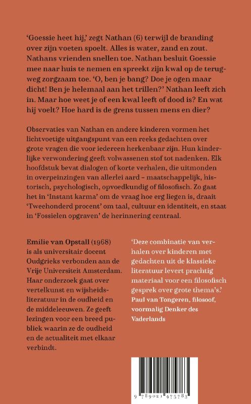 Op ooghoogte achterkant