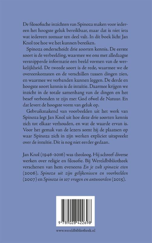Spinoza's intuitie achterkant