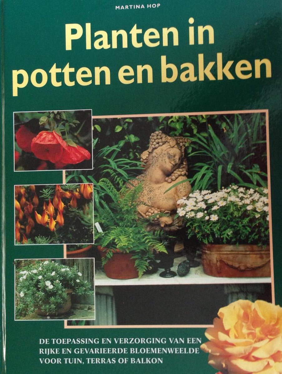 Planten in potten en bakken