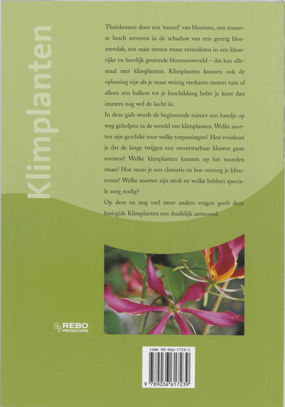 Klimplanten achterkant