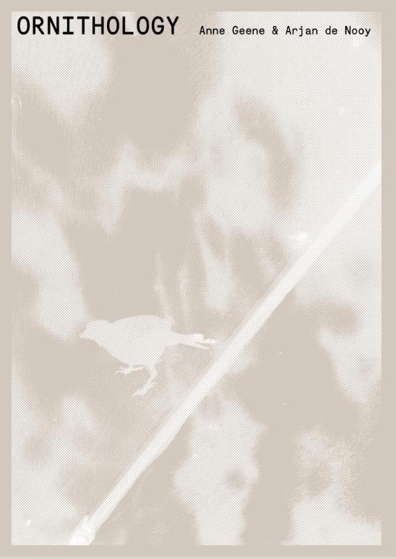 Anne Greene & Arjan De Nooy - Ornithology