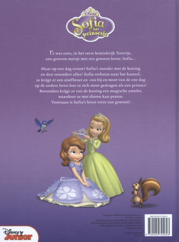 Groot verhalenboek / Disney junior achterkant