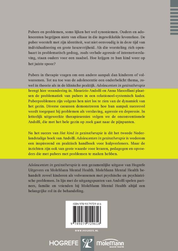 Adolescenten in gezinstherapie achterkant