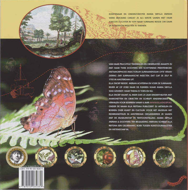 Vlinders vangen in de tropen achterkant