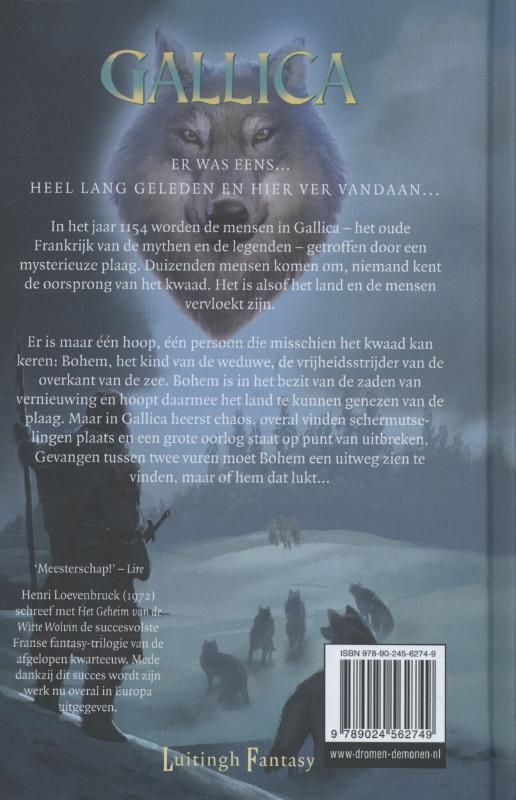 De kinderen van de weduwe / Gallica / 3 achterkant