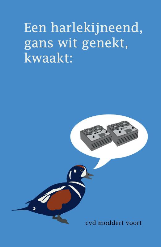 Een harlekijneend, gans wit genekt, kwaakt: