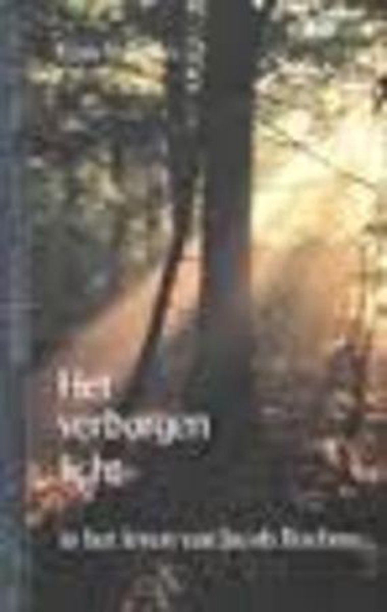 Het verborgen licht in het leven van Jacob Boehme / Mystieke verhalen