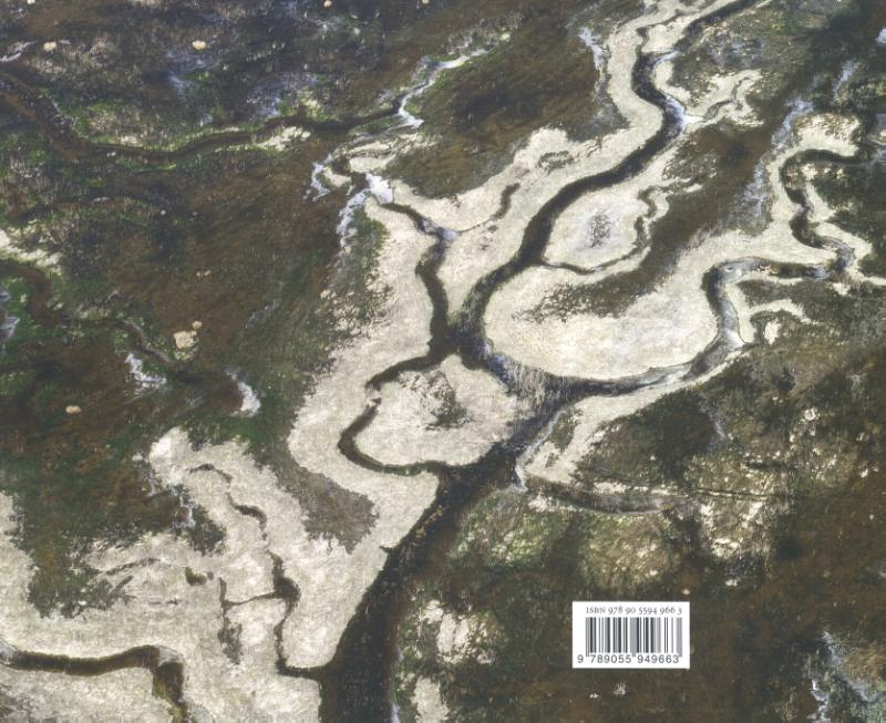 De bovenkant van Zeeland achterkant