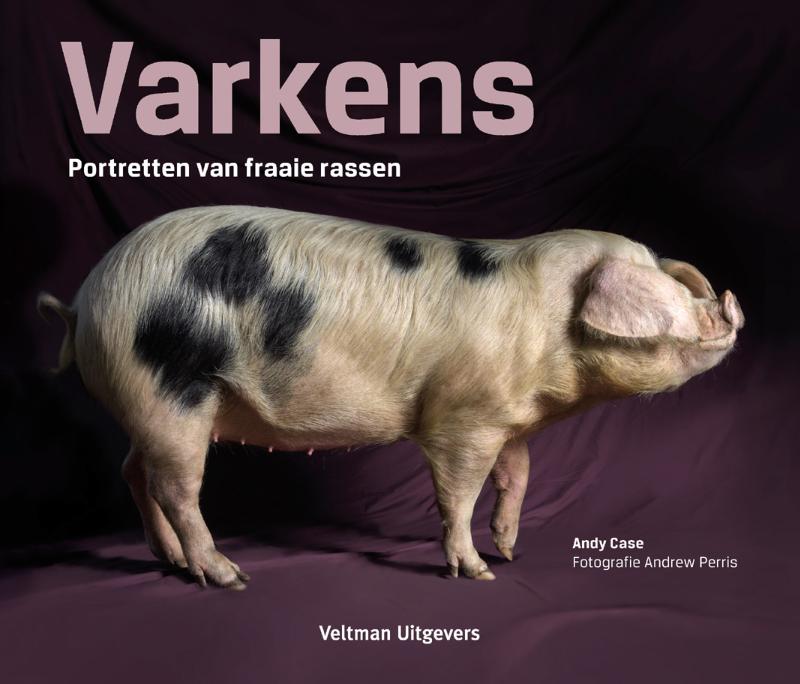 Varkens