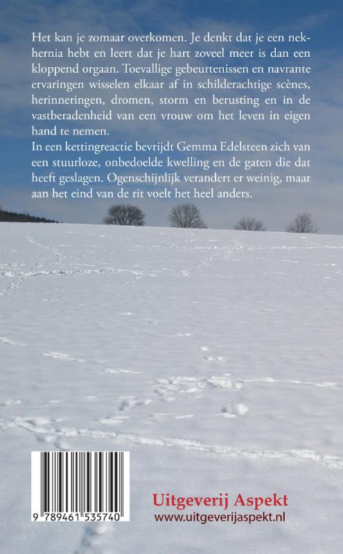 16 versie 61 achterkant