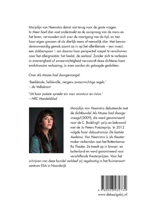 Meer hoef dan voet achterkant