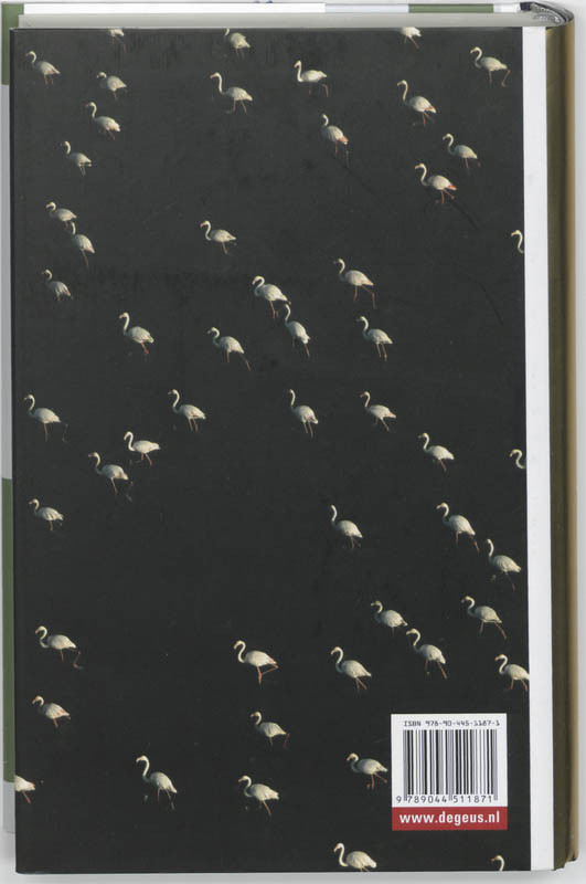 Spijkerschrift achterkant