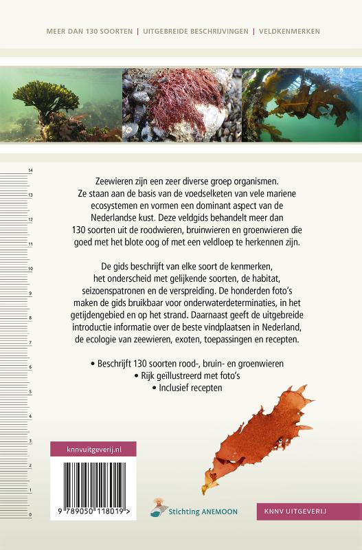 Veldgids Zeewieren / Veldgids achterkant