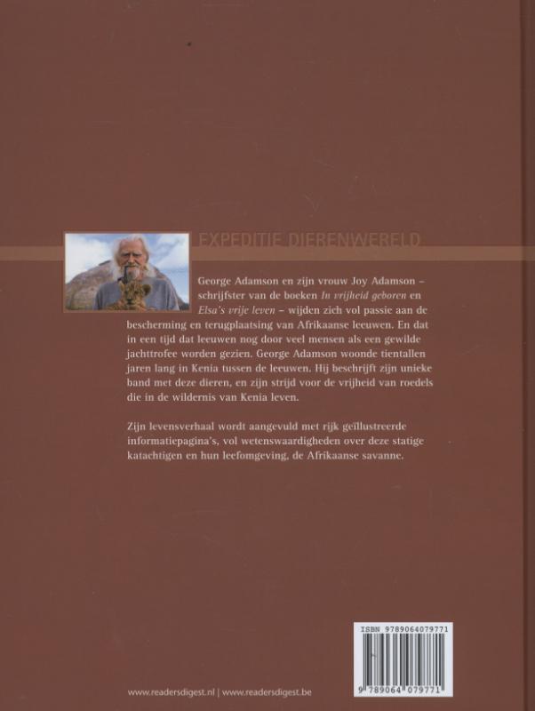 Leeuwen op de Afrikaanse savanne achterkant