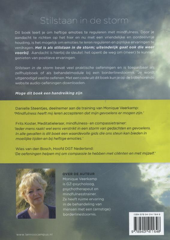 Stilstaan in de storm achterkant