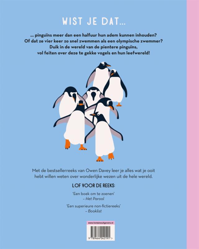 Pientere pinguïns achterkant