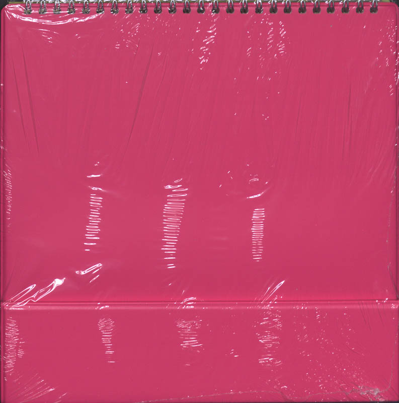 Alles telt-2e dr Kwismeester 3B achterkant