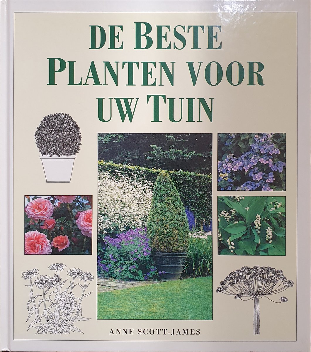 De beste planten voor uw tuin