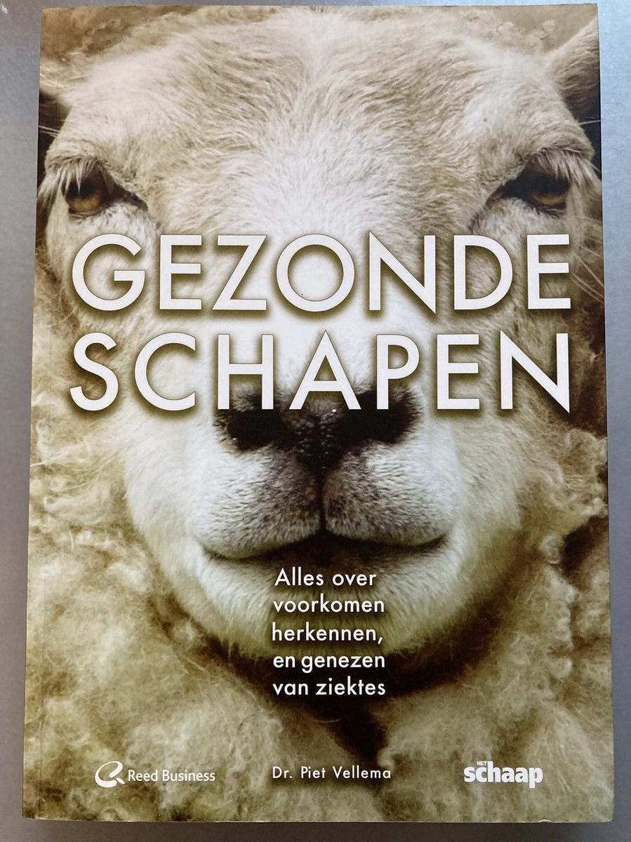 Gezonde schapen