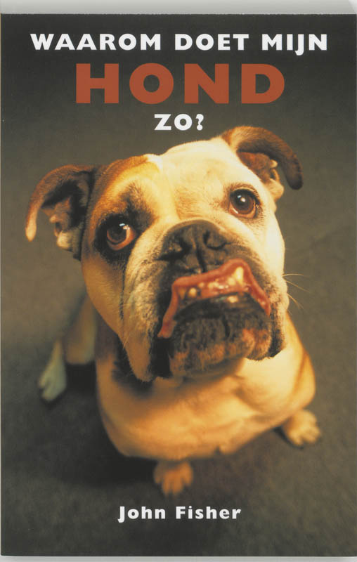 Waarom doet mijn hond zo